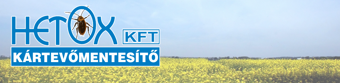 Bemutatkozás